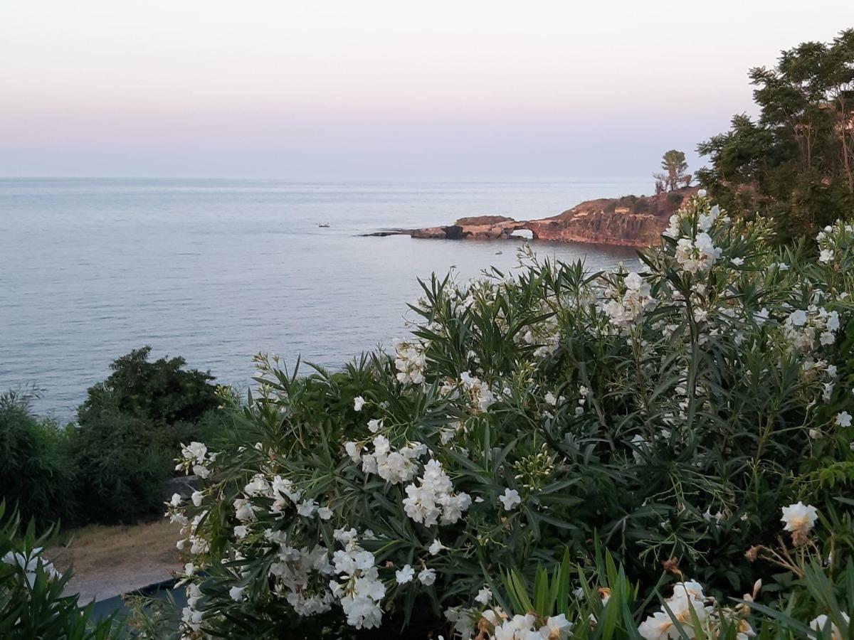Seeonsea Apartment Agnone Bagni Exterior photo
